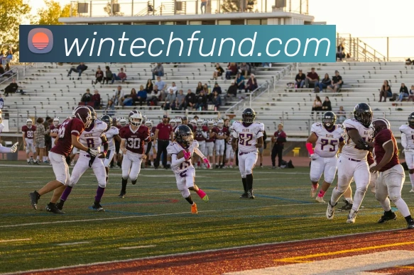 华体会平台生态图